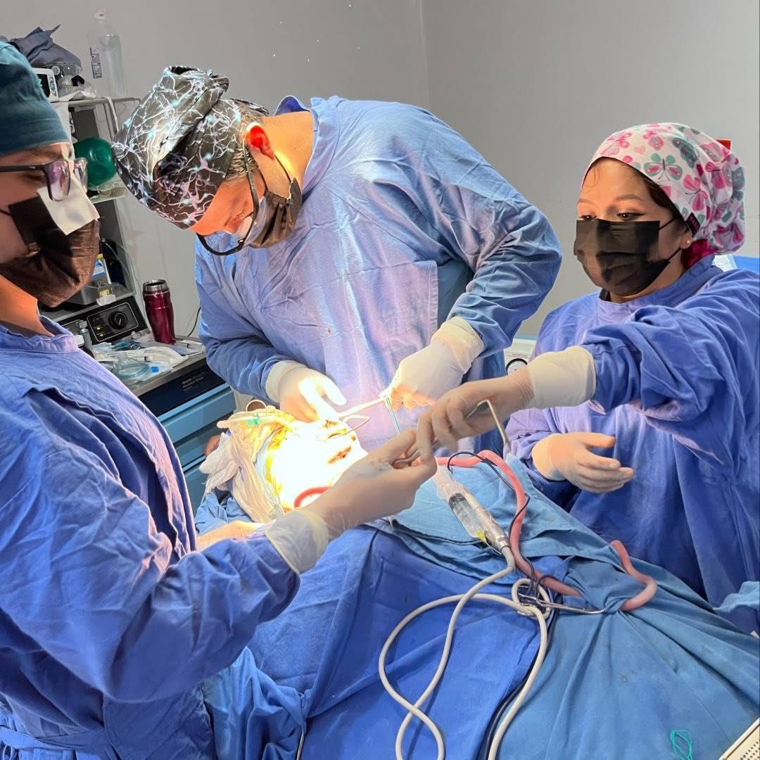 Cirugía oral y maxilofacial — Dr. Roberto Abraham Ramírez Ávila